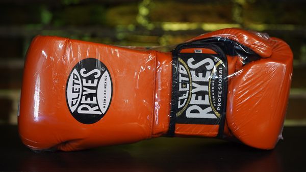 Cleto Reyes Hook & Loop Training Gloves, Cleto Reyes Boxing Gloves